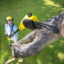 Lawn Watering Services in Moss Bluff, LA